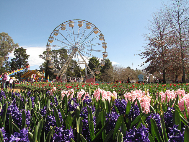 The Australian Capital Territory is not known to most people, but a famous flower festival is one such reason to change that this year!
