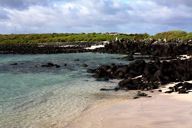 Countless deserted beaches are just one of the things to see in the Galapagos Islands...!