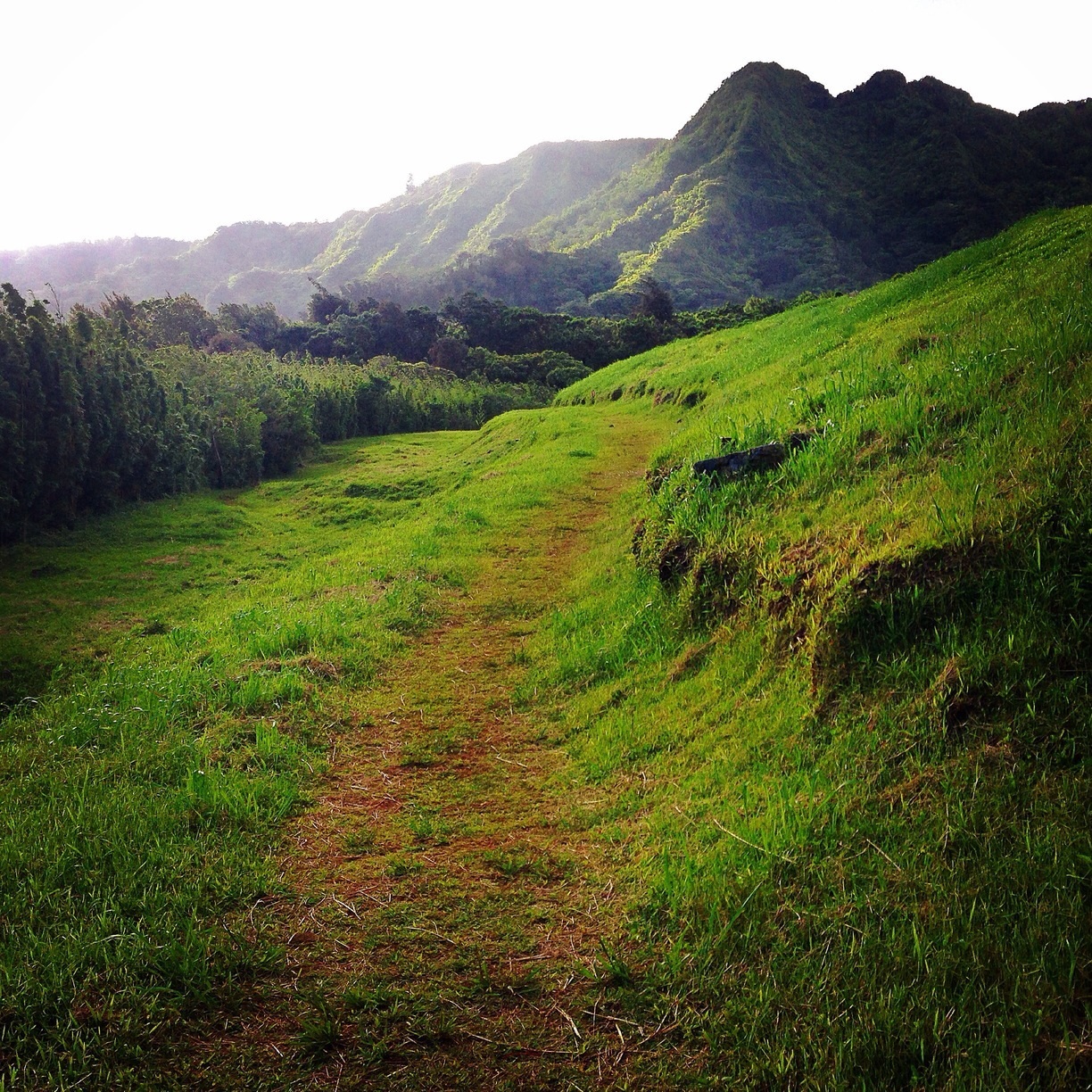 Nature close by to the city is among the best reasons to travel to Honolulu